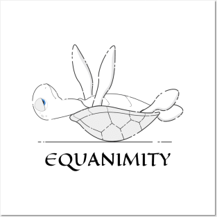 Equanimity is the shadow of witness Posters and Art